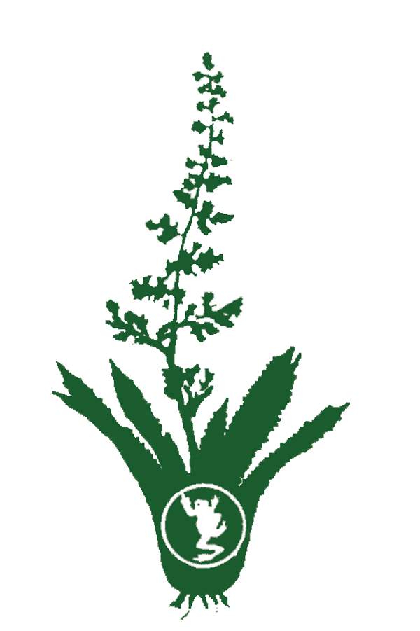 NATURAL-HISTORY-GREEN-LOGO